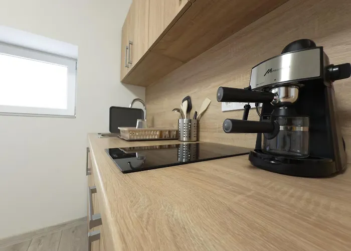 Marta Vendeghaz Apartament