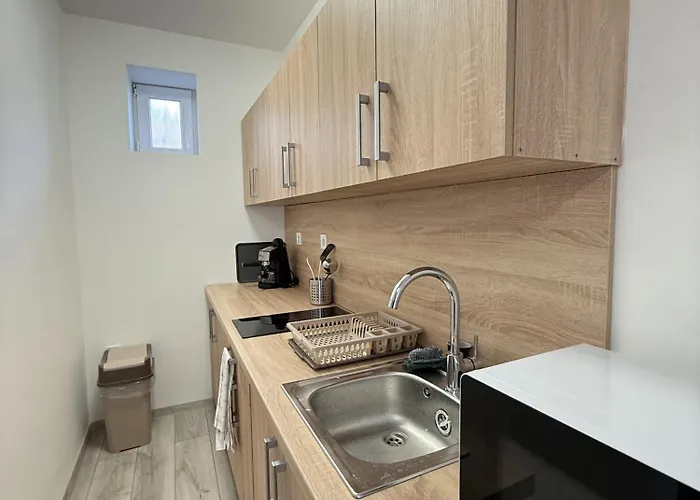Marta Vendeghaz Apartament *