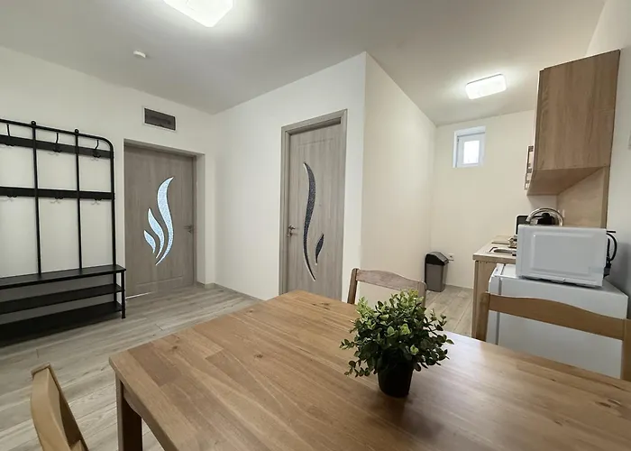 Apartament Marta Vendeghaz *